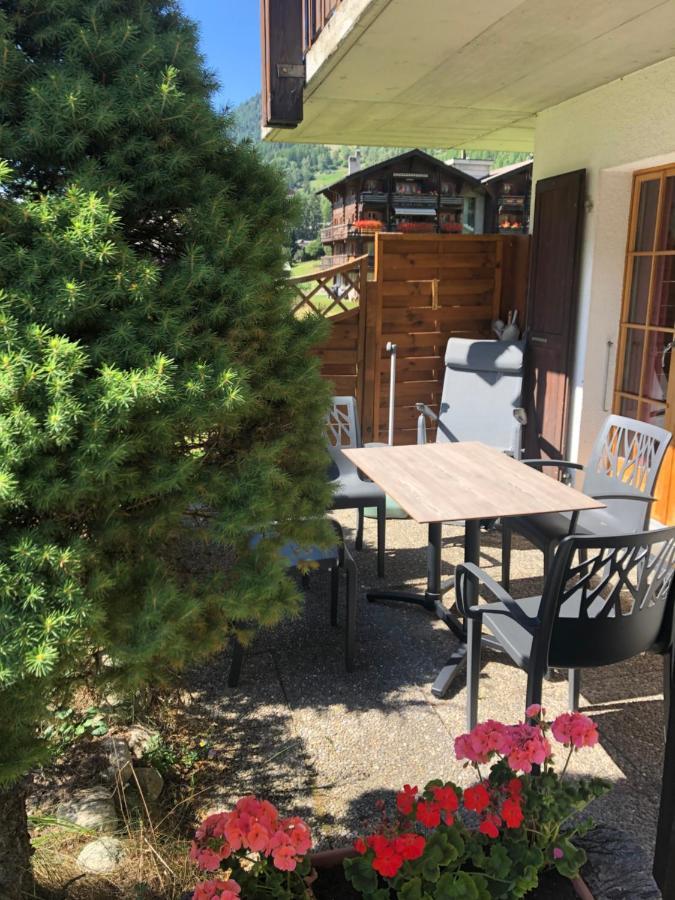 L'Herensarde, Bel Appartement Avec Jardin-Terrasse Et Garage Evolène Exteriör bild
